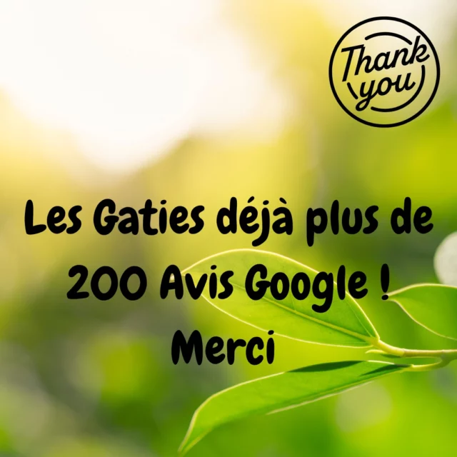 C'est toujours une immense joie de vous partager ! MERCI 🙏🏼 #lesgaties #destinationgrandvezelay #guesthouse #guesthouse #labourgogne #labourgogne #mybourgogne